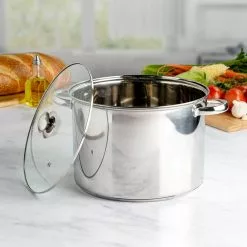 Pure Intentions 12 qt. Stainless Steel Stock Pot in Polished Stainless Steel with Glass Lid by Ecolution