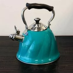 Alberton 10-Cups Emerald Green Tea Kettle by Mr. Coffee -Cookware Sales Shop emerald green mr coffee tea kettles 98586570m 4f 1000