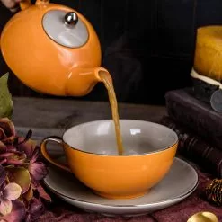 10 oz. Single Serve 1-Piece Orange Porcelain Teapot Teacup and Saucer Set by Artvigor -Cookware Sales Shop orange artvigor tea kettles art cc006 76 1000