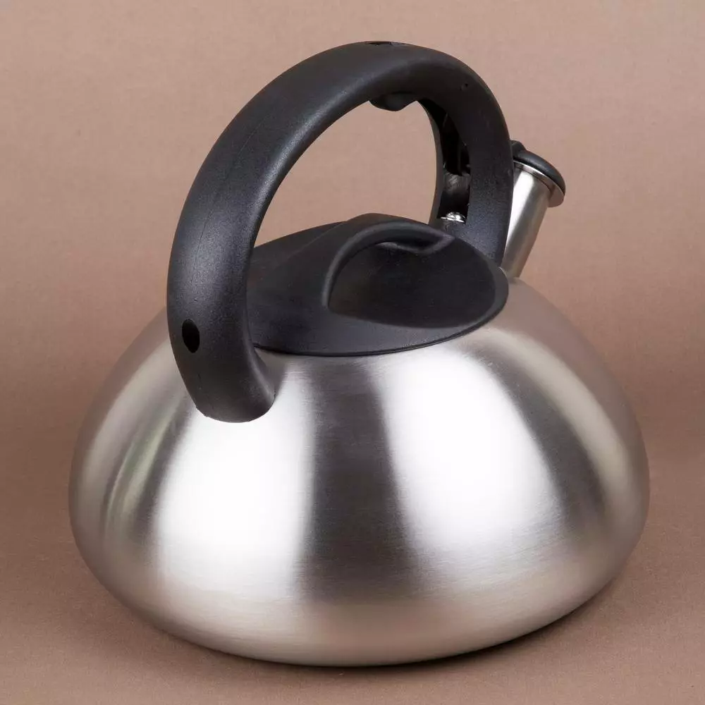 Sphere 11.2-Cup Stovetop Tea Kettle in Silver by Creative Home 6 Sphere 11.2-Cup Stovetop Tea Kettle in Silver by Creative Home - Image 4