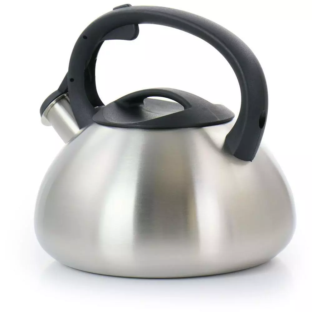 Harpwell 1.8 qt. Stainless Steel Whistling Tea Kettle by Mr. Coffee 4 Harpwell 1.8 qt. Stainless Steel Whistling Tea Kettle by Mr. Coffee - Image 2